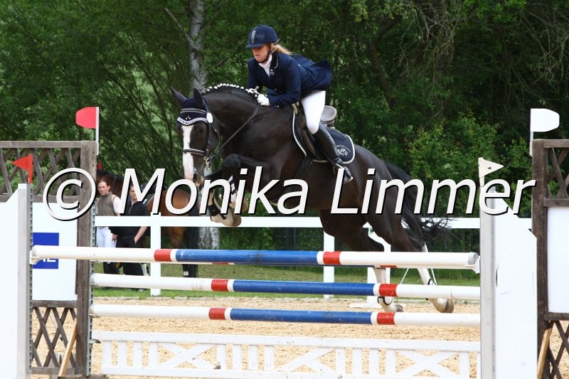 006M7316_Spring L.JPG